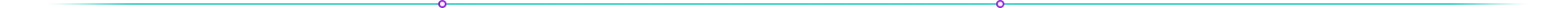 separator-image